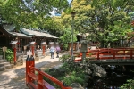 千葉神社 境内奥の末社の様子