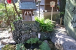 千葉神社 美寿之宮・延寿の井の水の様子