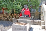 日枝神社 メスの神猿像の様子