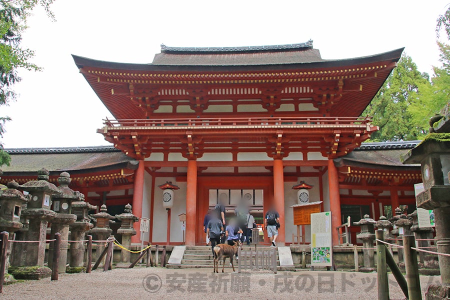 春日大社 御本殿（回廊）南門の様子