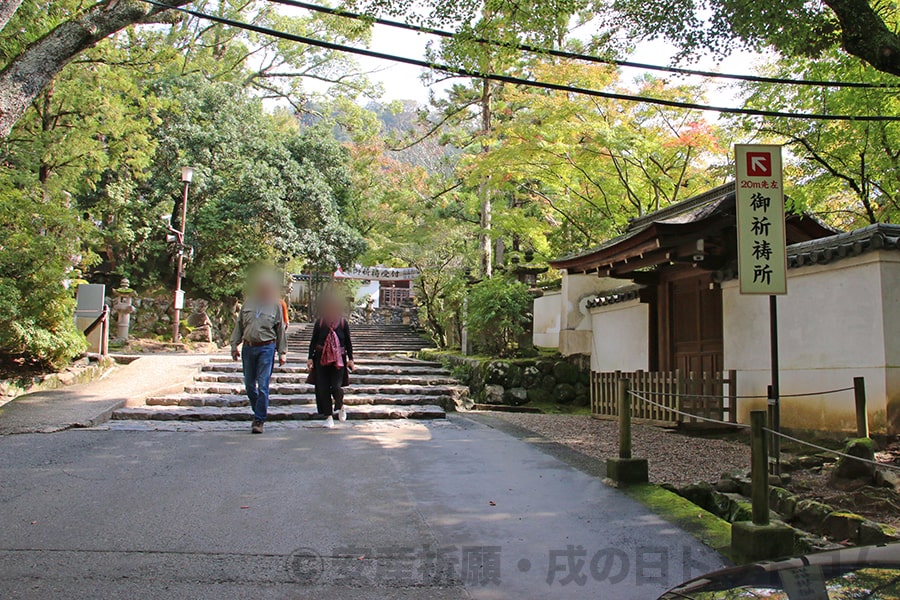 春日大社 御祈祷所へのルートと案内看板の様子