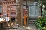 越谷 香取神社 御神木-縁結びの木の様子