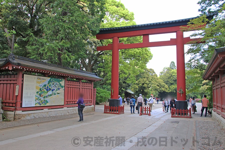 大宮氷川神社 境内入口と三の鳥居の様子