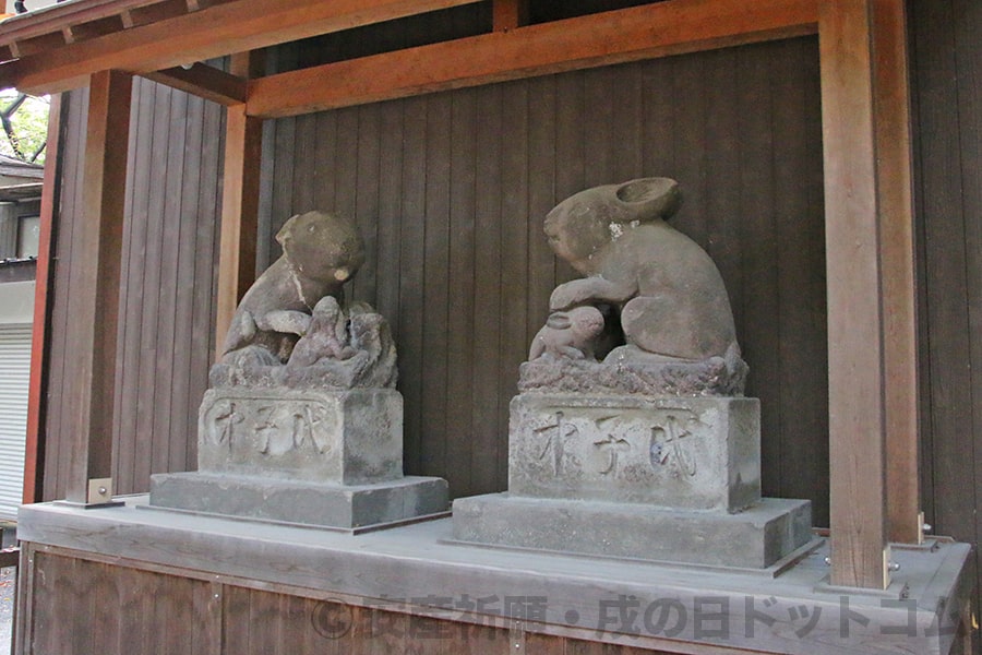 調神社 対の兎石像の様子