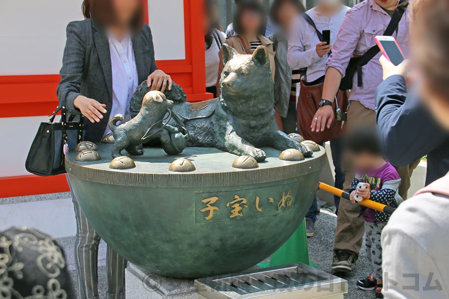 水天宮 境内の子宝いぬの様子