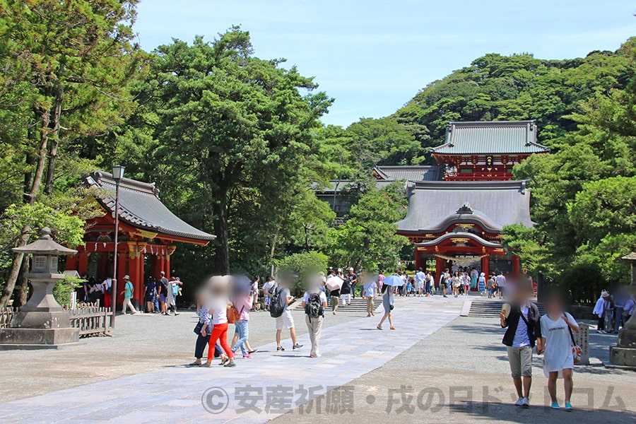 鶴岡八幡宮 参道から楼門など境内全体の様子
